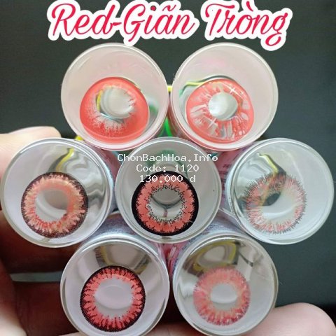 Contact lens /Kính áp tròng - RED tặng kèm khây dụng cụ