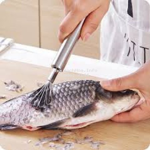 ( HOT ) Dụng cụ đánh vẩy cá nạo vỏ dừa đa năng RẺ NHẤT