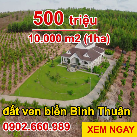 Bán đất bình thuận ven biển chỉ 500tr/ha 10.000m2 giá rẻ đầu tư trang trại